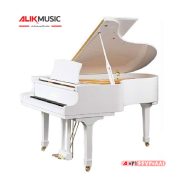 پیانو آکوستیک ACOUSTIC PIANO Weber 150-WH