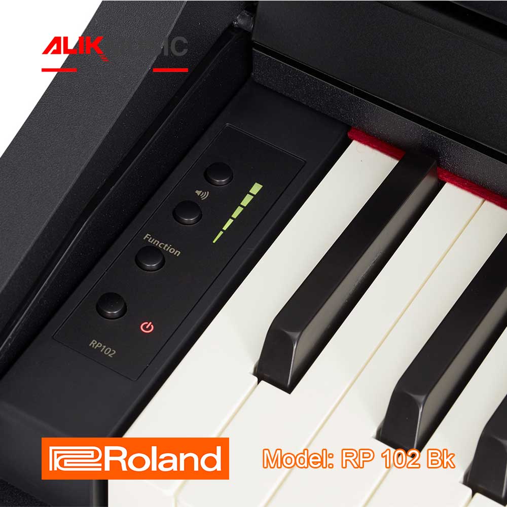 Digital Piano RP 102 Bk