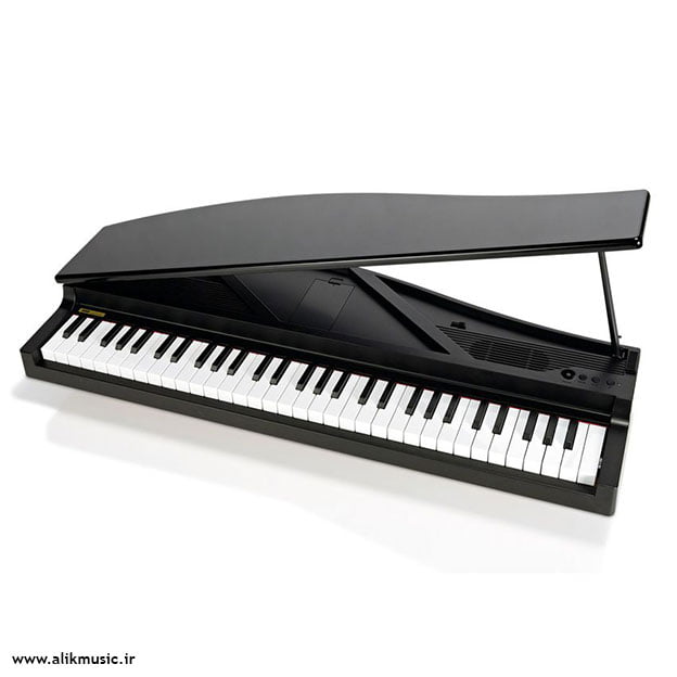 Korg Micro Piano