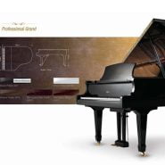 پیانو آکوستیک ACOUSTIC PIANO Weber 150-BK