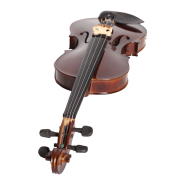 VIOLIN V20