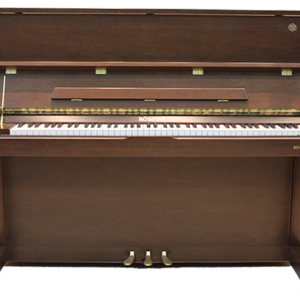پیانو آکوستیک  ROSSINI MX300 WS